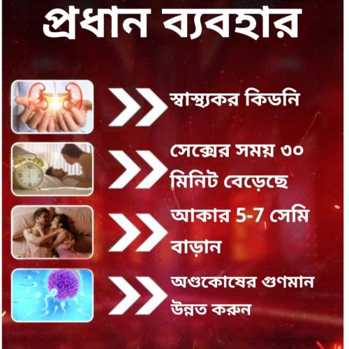 WhatsApp-Image-2025-01-21-at-12.32.39-AM-1-944x1024